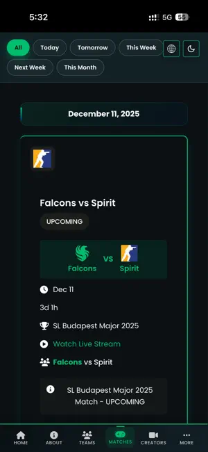 Team Falcons iPhone screenshot 2