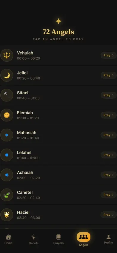 Zanj screenshot 3