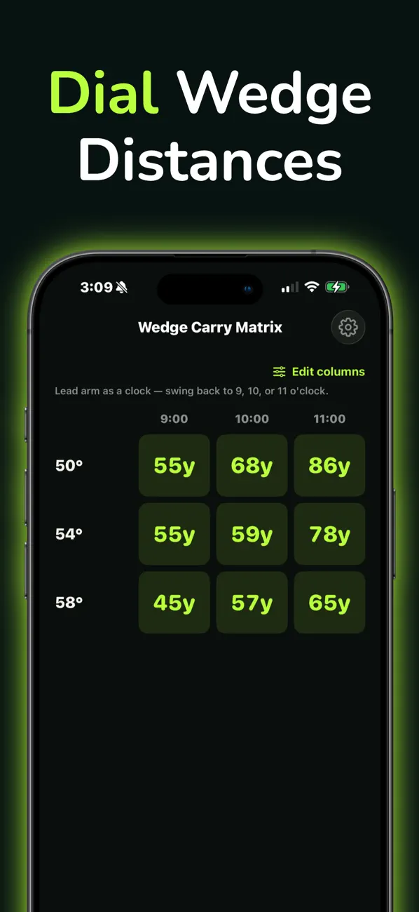 Screenshot #3 pour Carry: Golf Practice