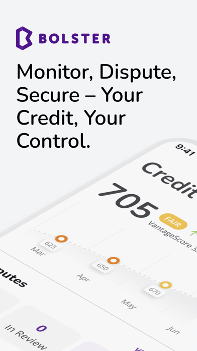 Bolster: Finance and Credit Screenshot