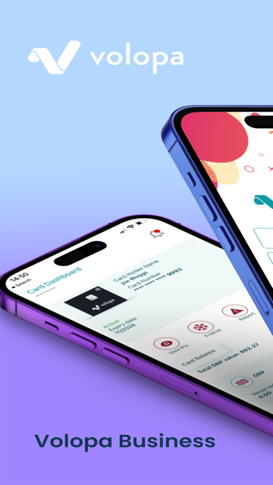 Volopa Business Screenshot