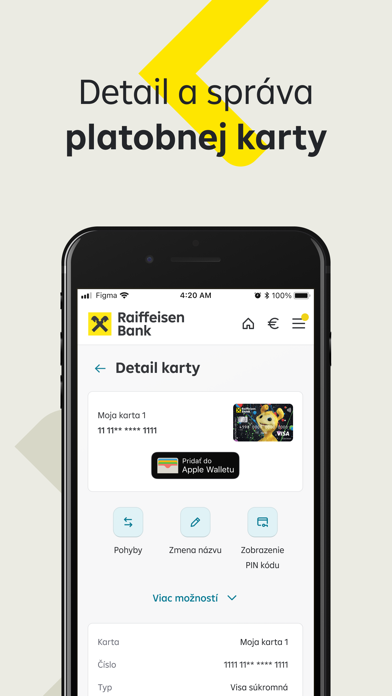 Raiffeisen Bank SK Screenshot