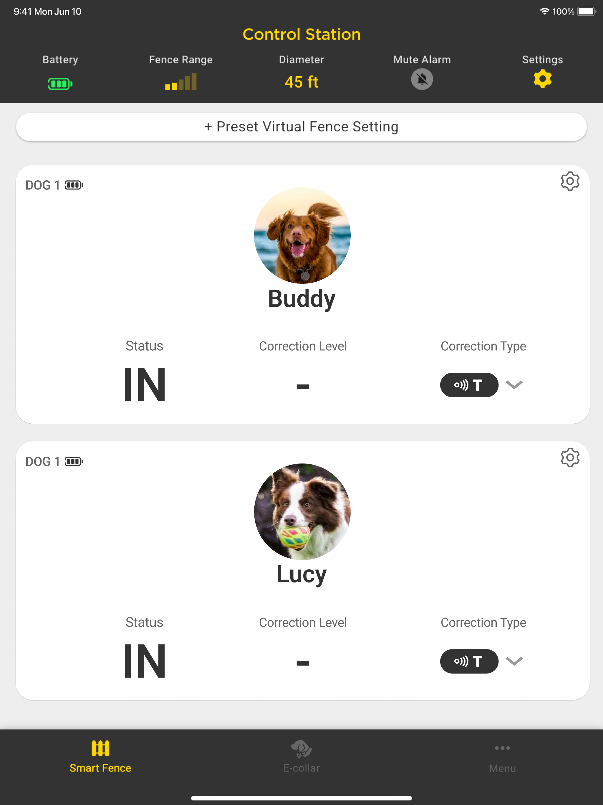 Dogtra SMART FENCE