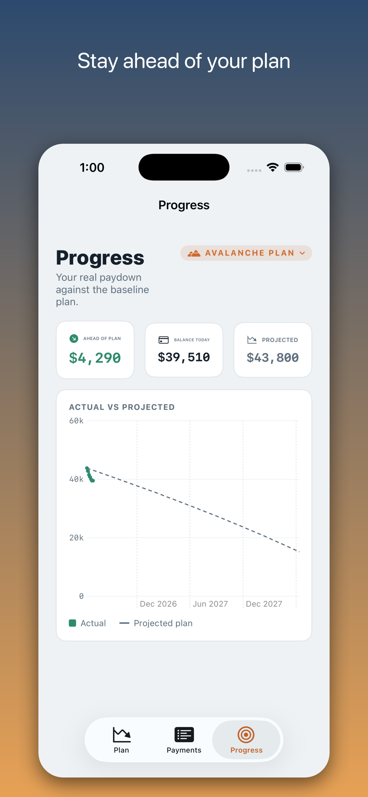 Debt Descent: Payoff Planner screenshot 4