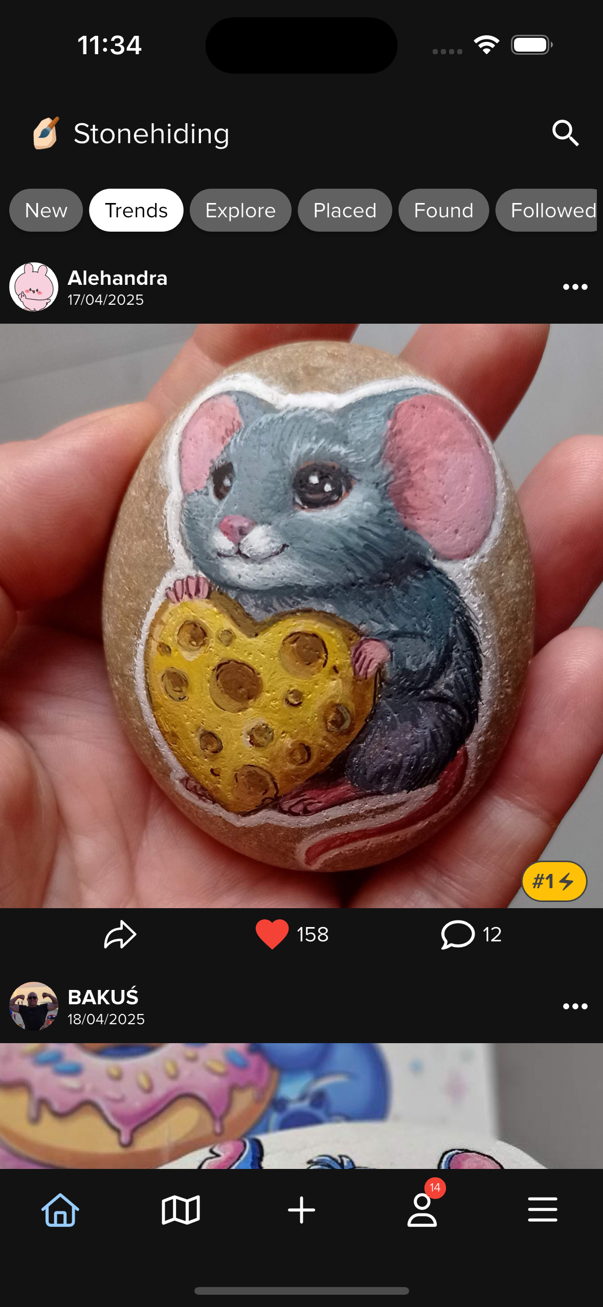 Stonehiding