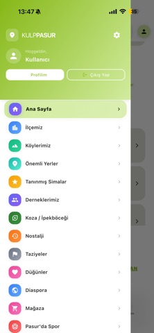 KulpPasur screenshot