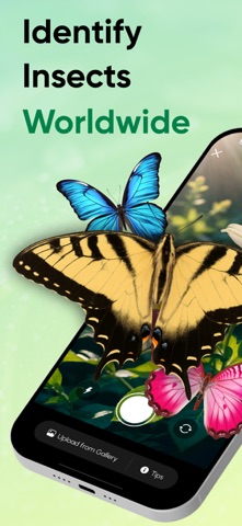 Bug Identifier: AI Scanner App Screenshot 1 of 7