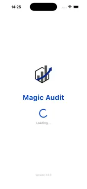 Magic Audit screenshot 4