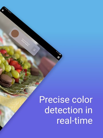 Color Identifier: ColorSense ipad screenshot 4