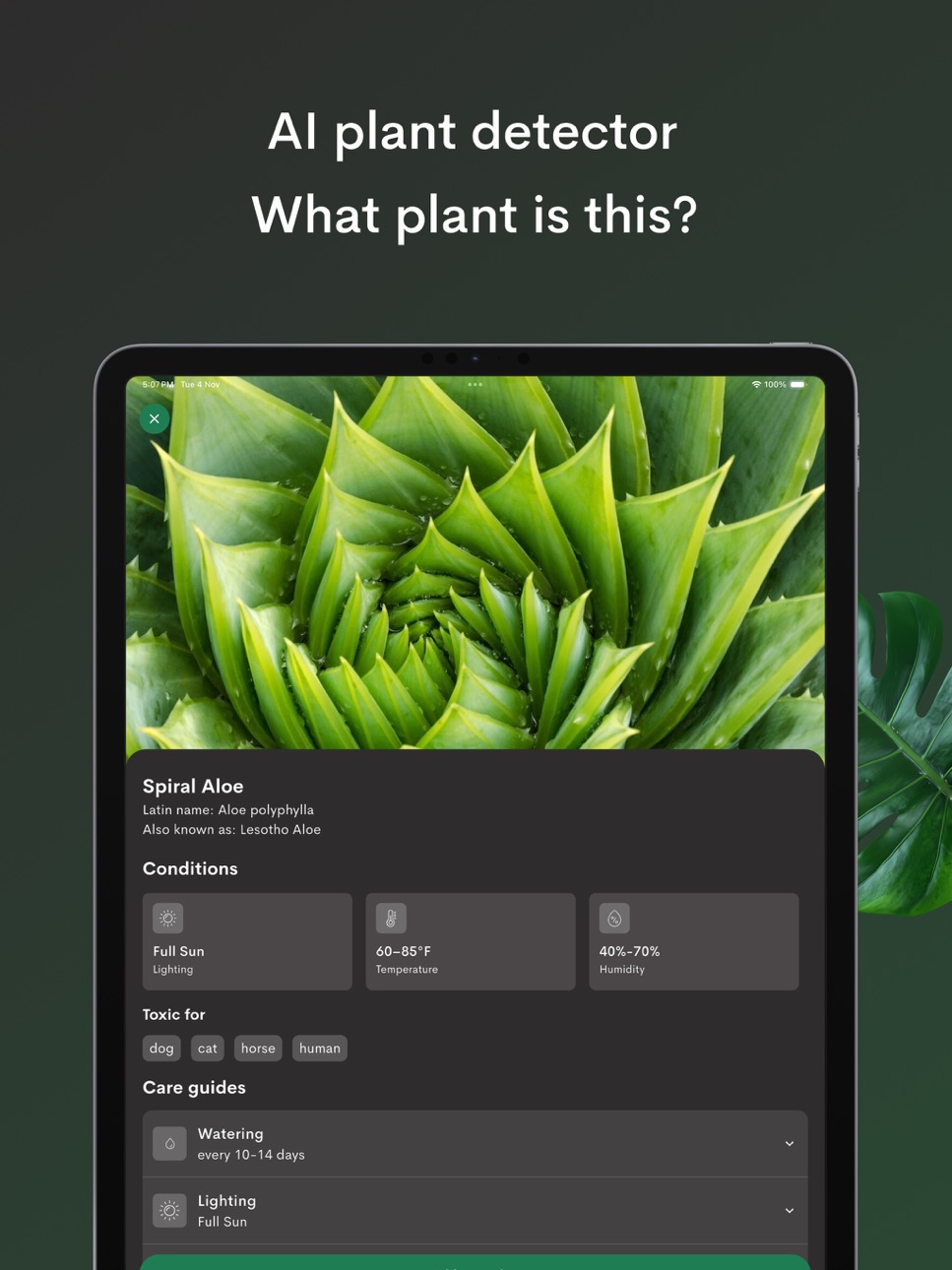 iPad screenshot
