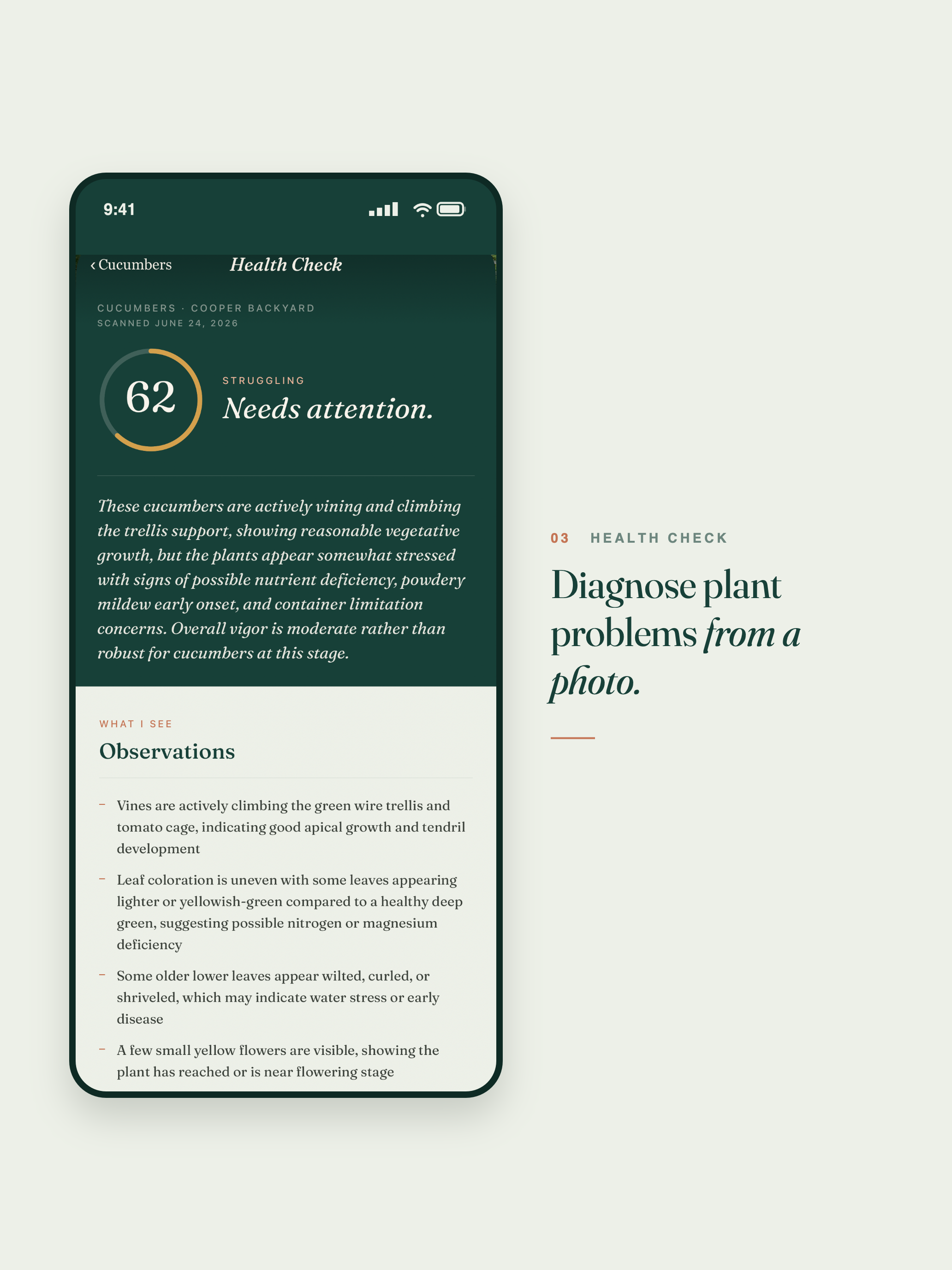 Rooted: Garden Companion screenshot 7