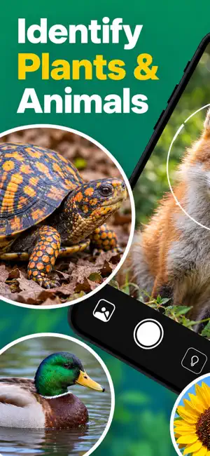 NatureLens: Plant Identifier screenshot 1