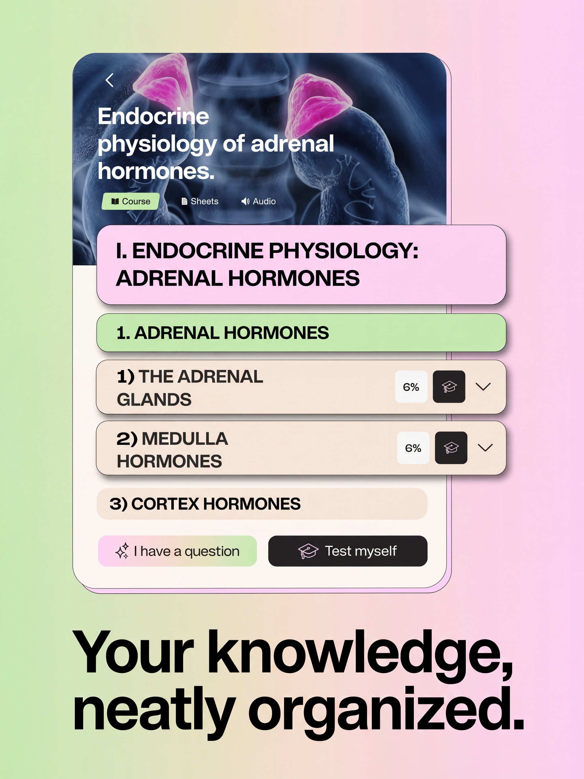 Synapse - Education screenshot 11