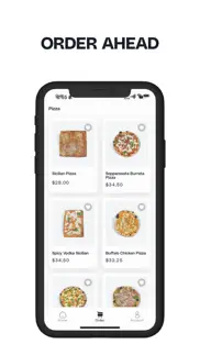 dough & co. pizza problems & solutions and troubleshooting guide - 1