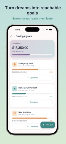 SmartFlousi: Budget Planner iPhone screenshot