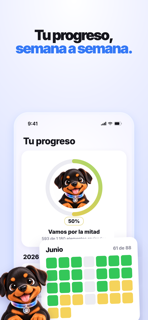 Rotty - limpia tu galería screenshot 4