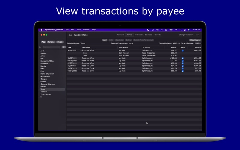 Screenshot #3 pour MyNetWorth Preview
