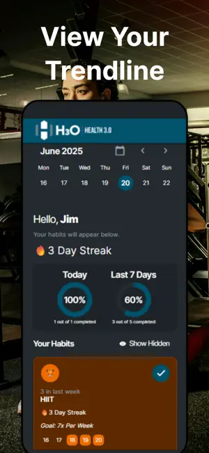 H30 screenshot 2