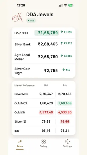 DDA Silver screenshot 2