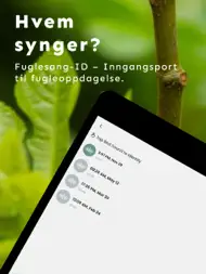 Fuglelyder – What Bird ID ipad bilder 0