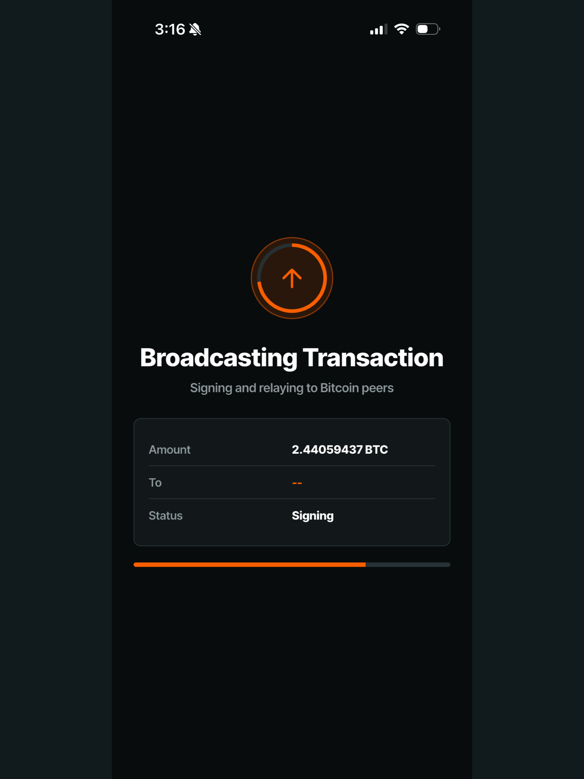 My Bitcoin Wallet screenshot 14