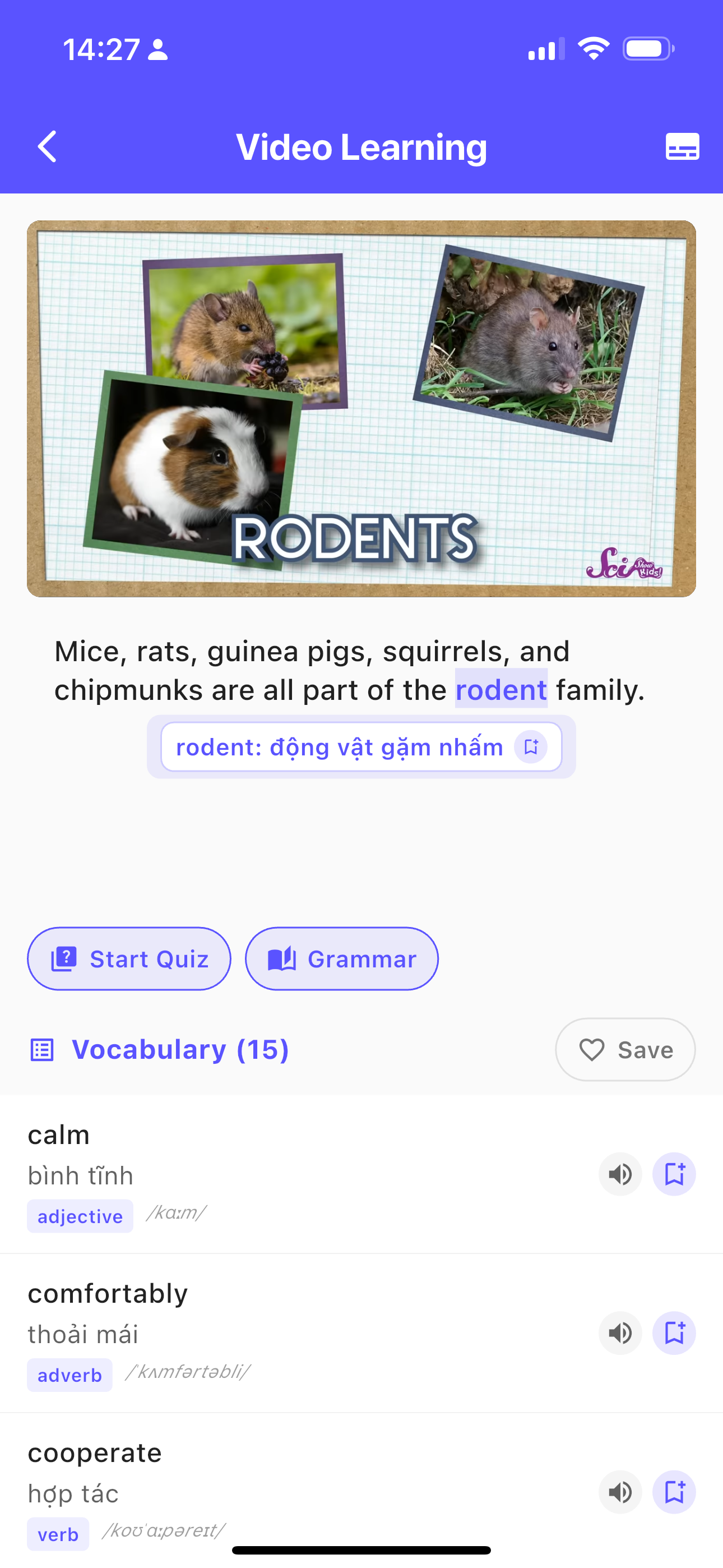 VocaTube - English Mastery