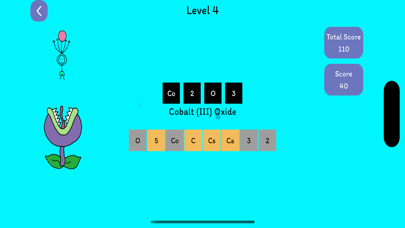 Hi Chemical ion Screenshot