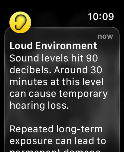 Screenshot #3 pour Noise