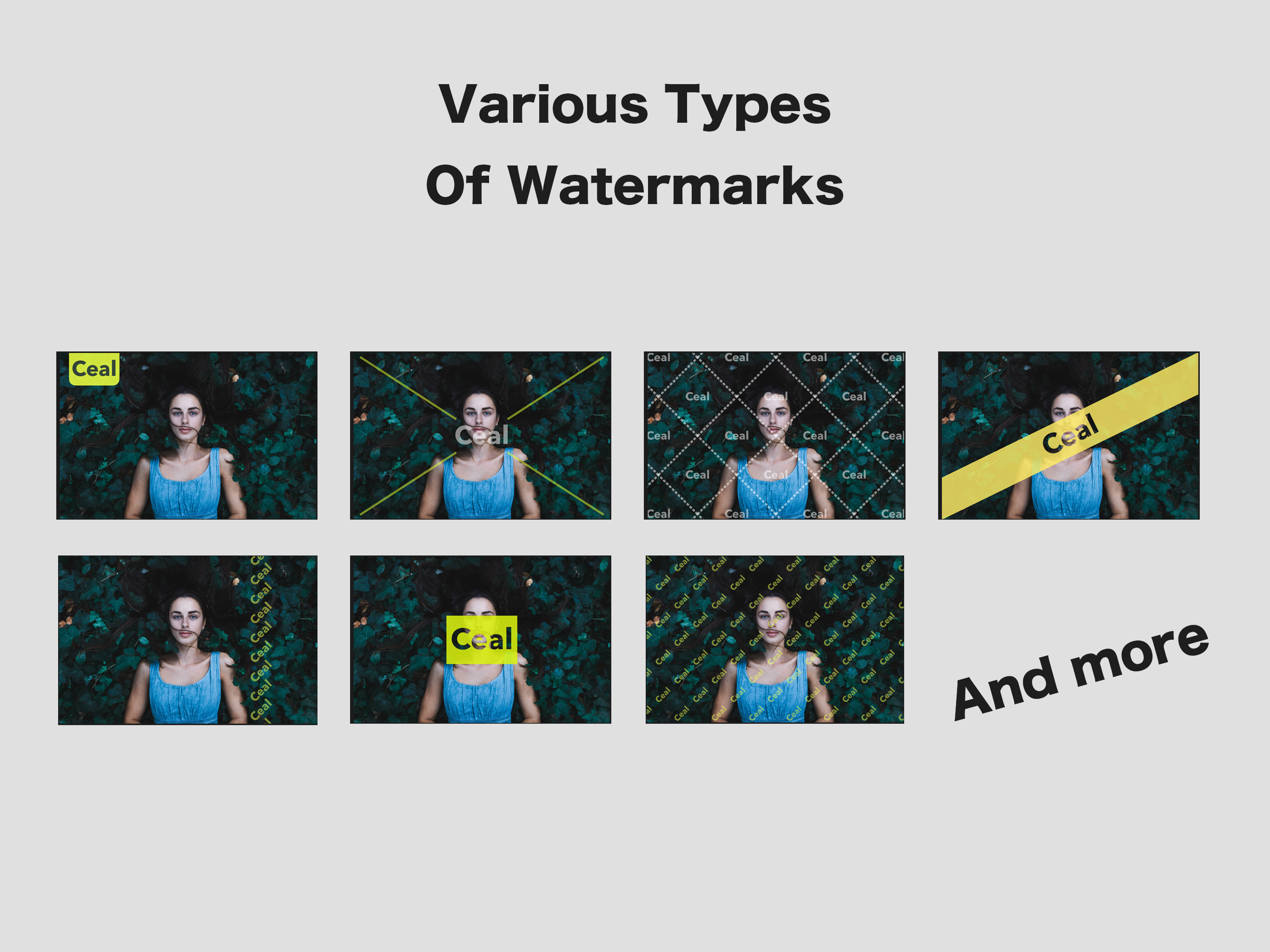 Watermark Editor - Ceal screenshot 9