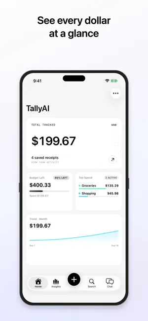 TallyAI - Private Budgeting screenshot 1