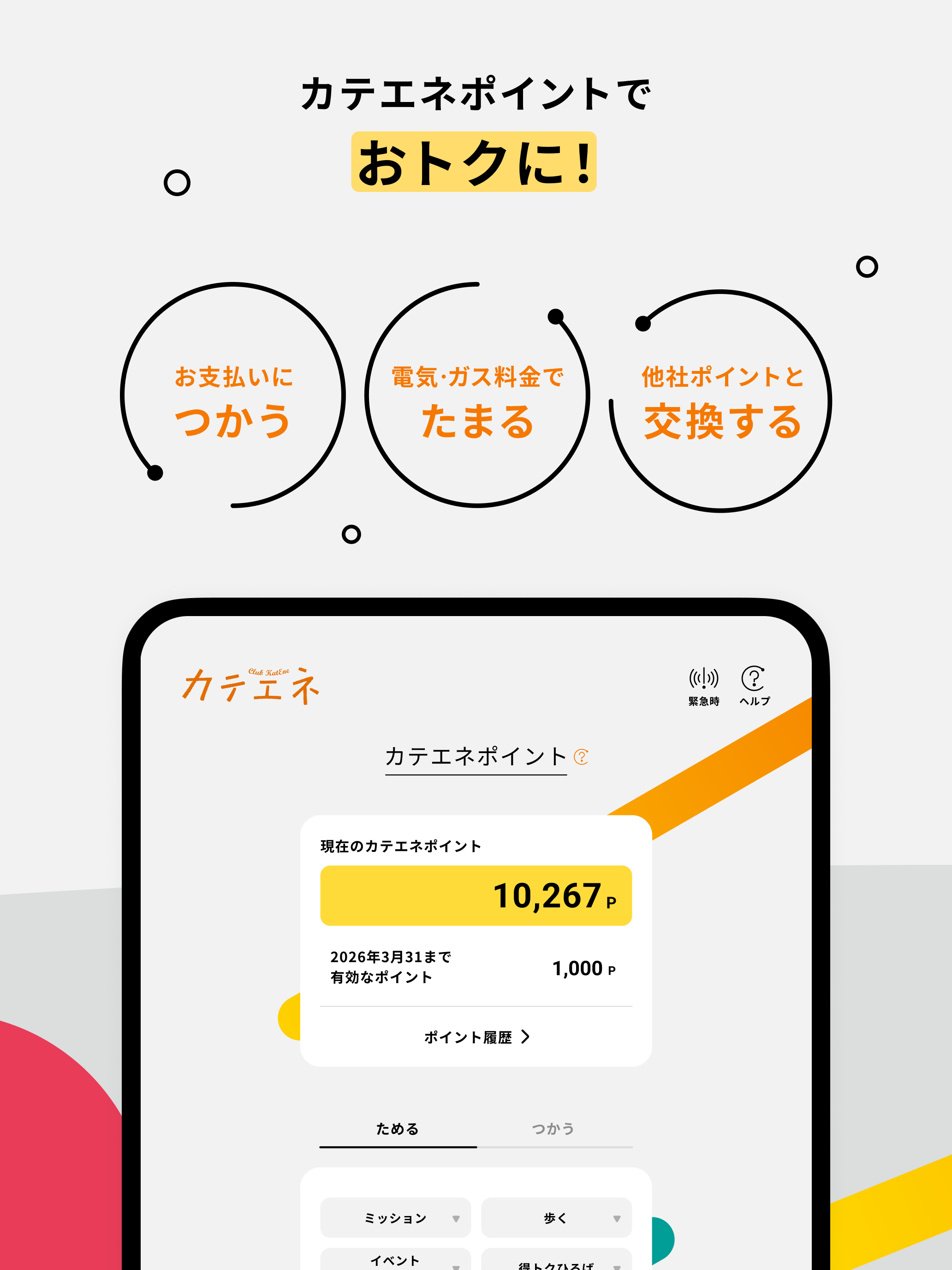 カテエネ