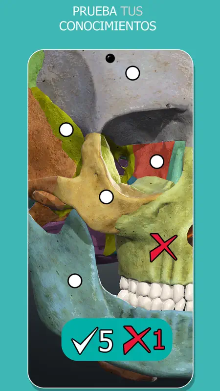 Anatomy Learning - Anatomía 3D screenshot 6 of 7