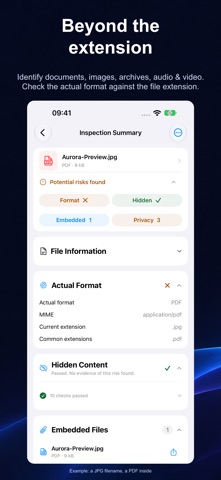 File Deep Info: Data Inspector screenshot