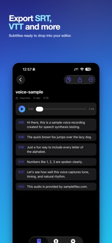 Voice to Text: Offline AI Note iPhone screenshot