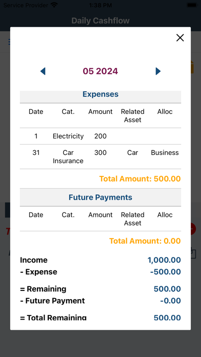 Screenshot #3 pour Daily Cashflow