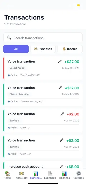 AI Budget Tool: Voice Expenses screenshot 4