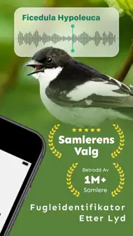Fuglelyder – What Bird ID iphone bilder 1