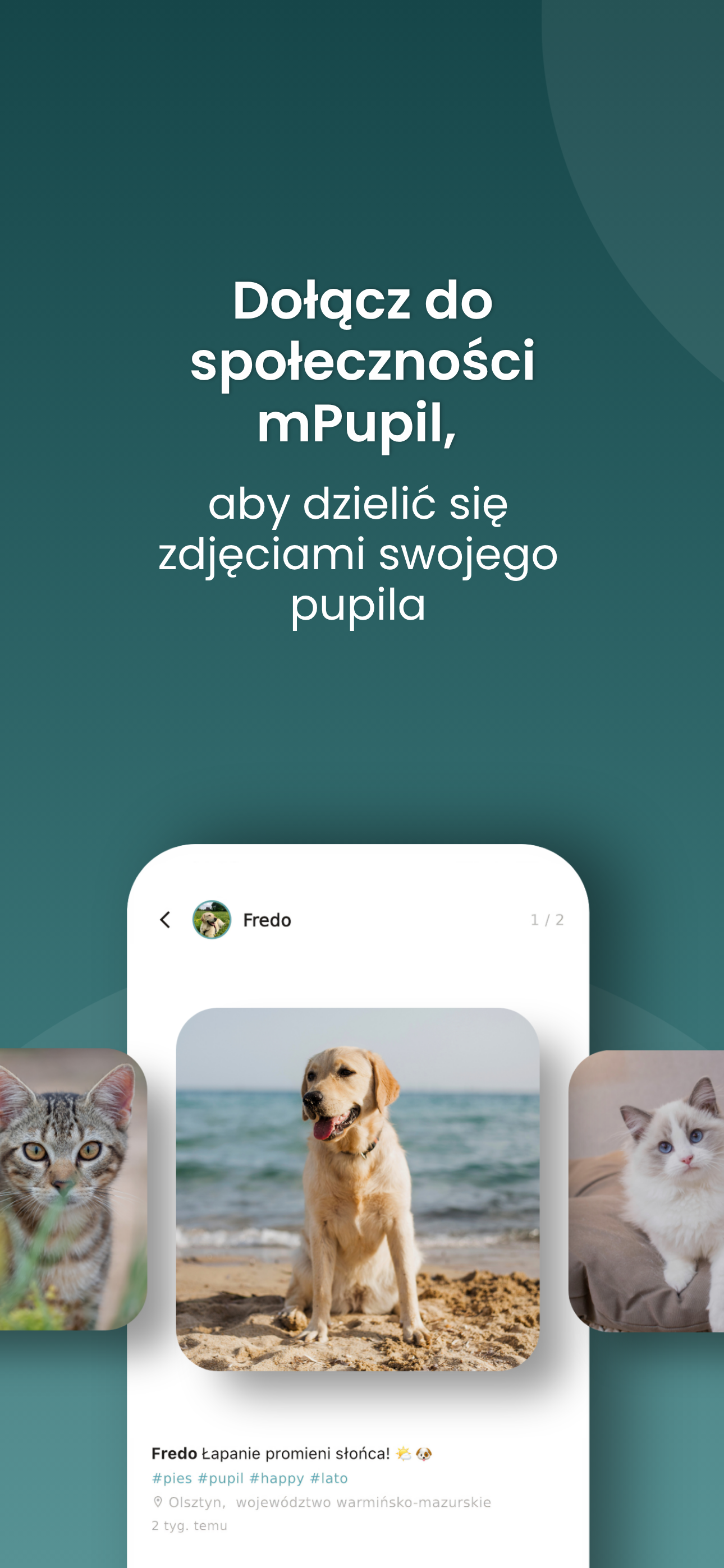 mPupil.pl screenshot 5