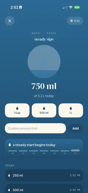 FitGlass screenshot 4