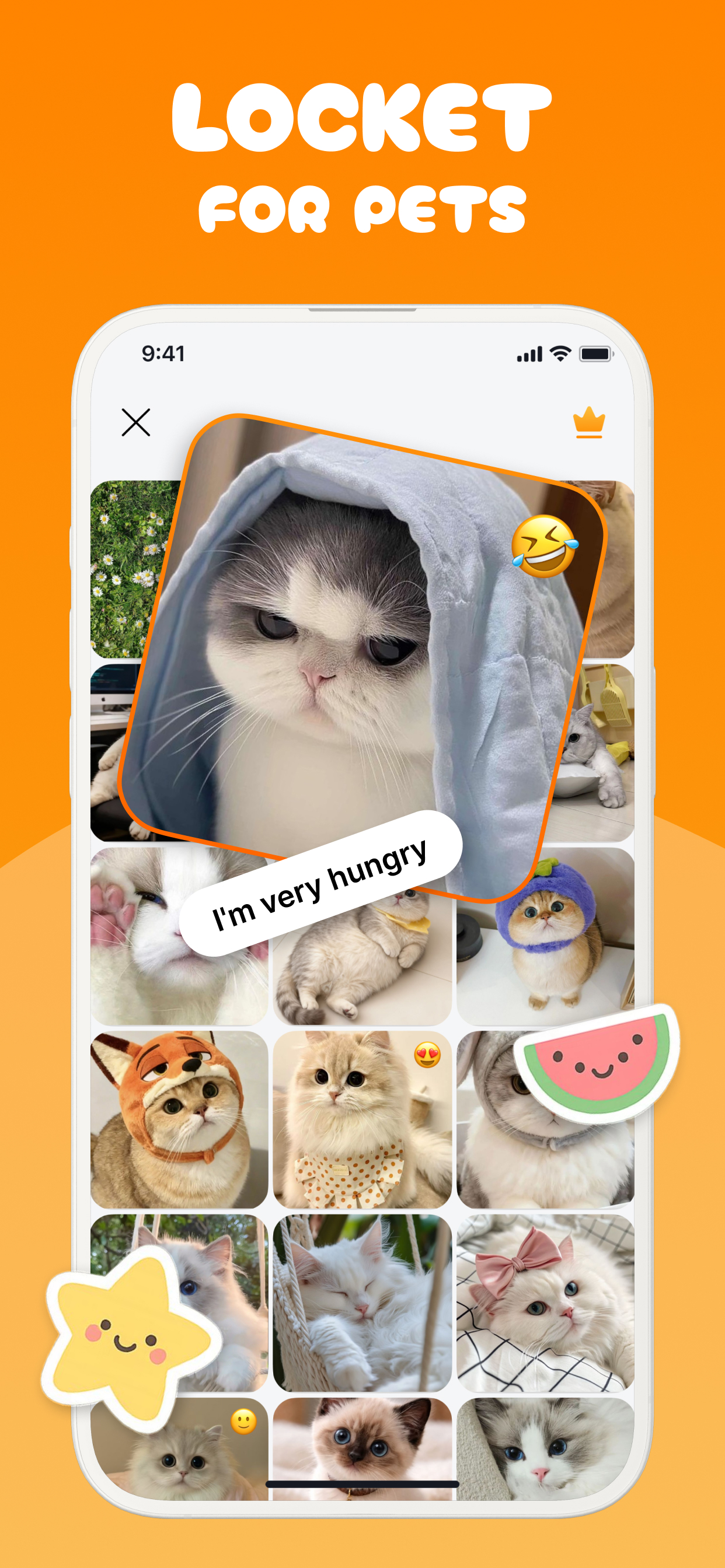 Cat Translator & MeowTalk screenshot 5