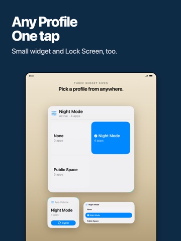 App Volume: a volume per app iPad screenshot