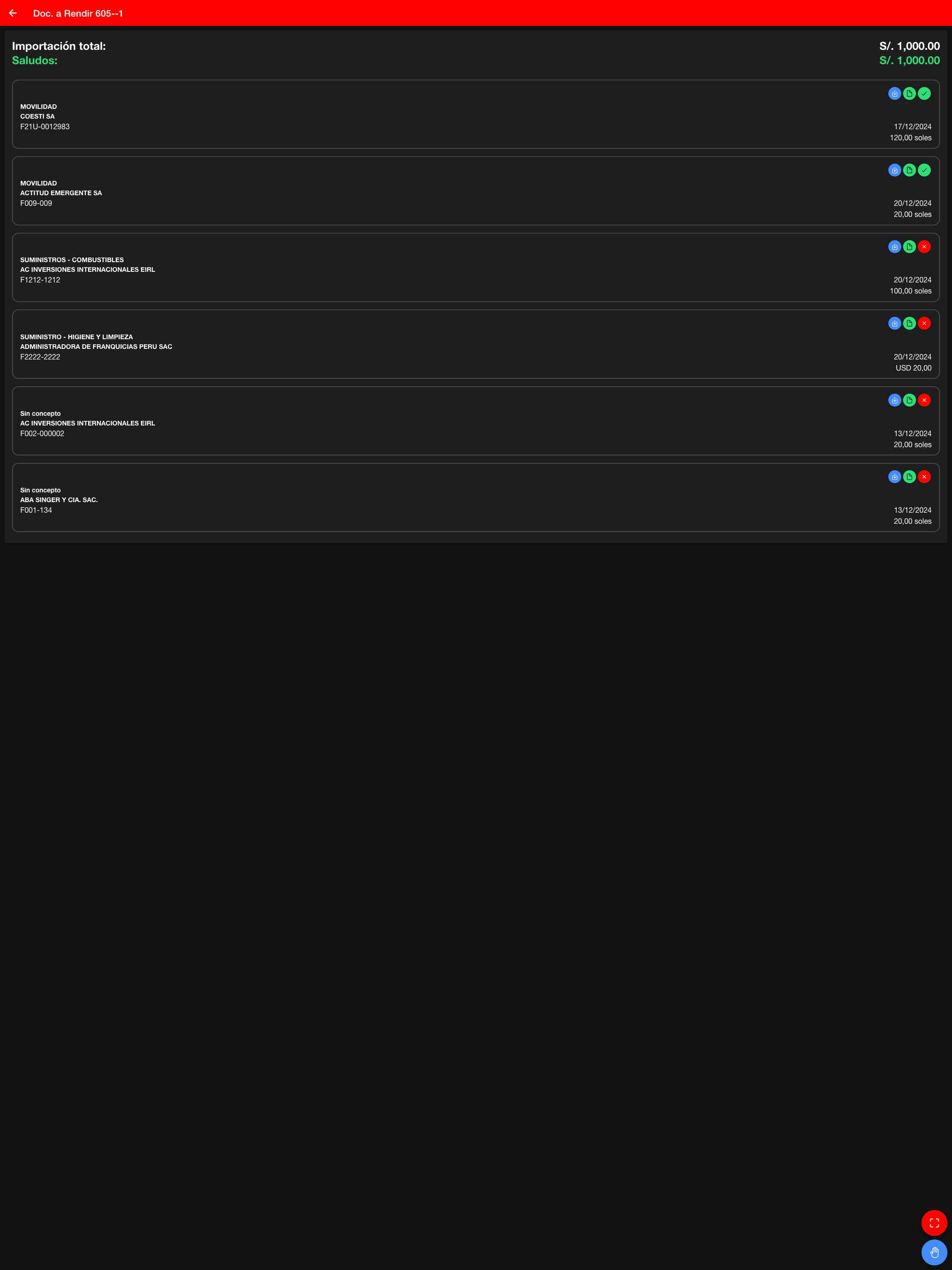 TSI Rendiciones screenshot 19