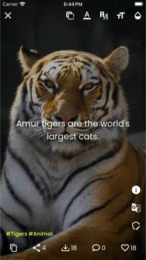 Amazing Facts - Did You Know? screenshot 2