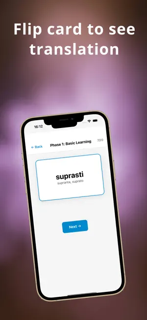 LitCards - Learn Lithuanian screenshot 2