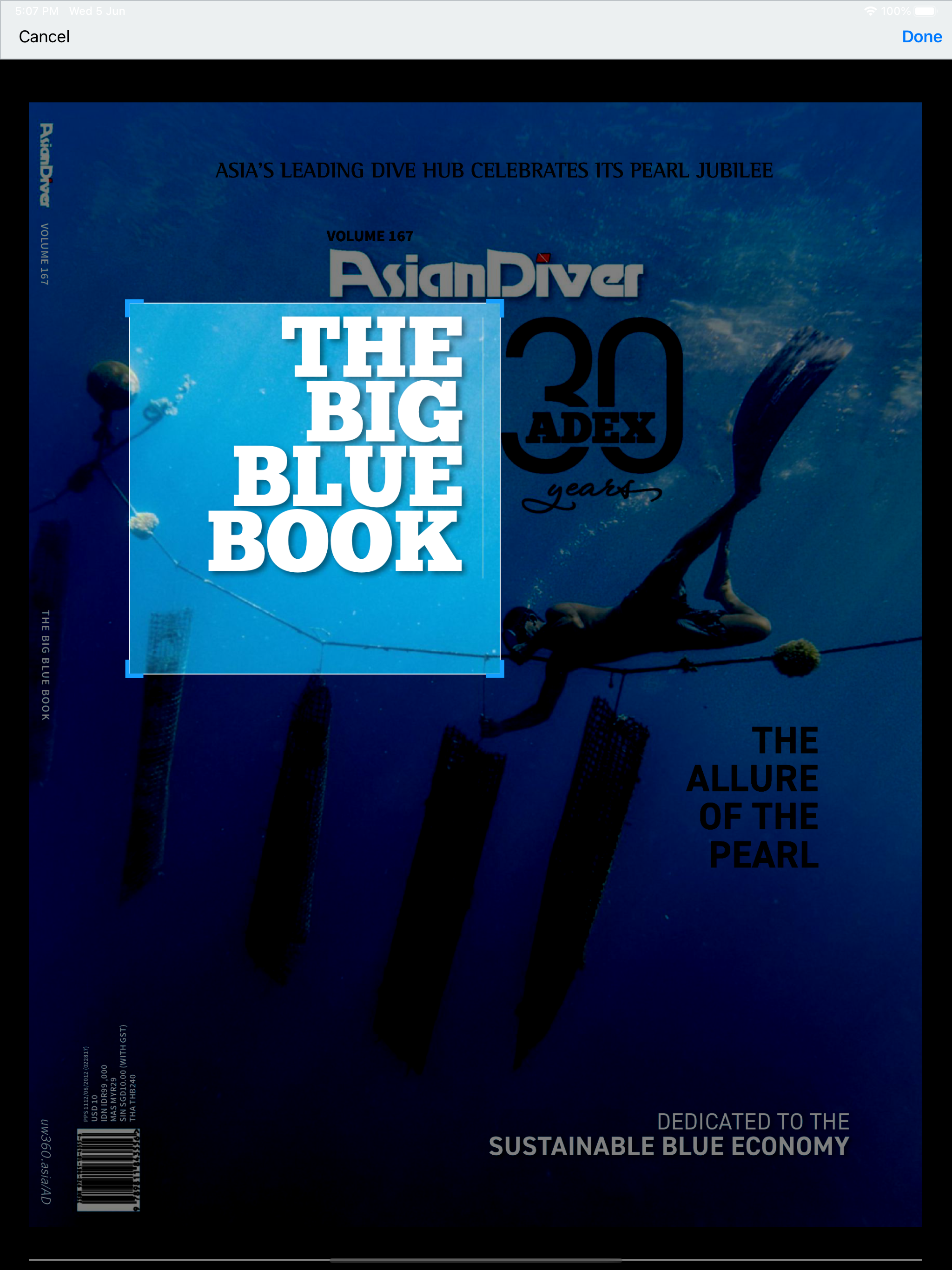 Asian Diver
