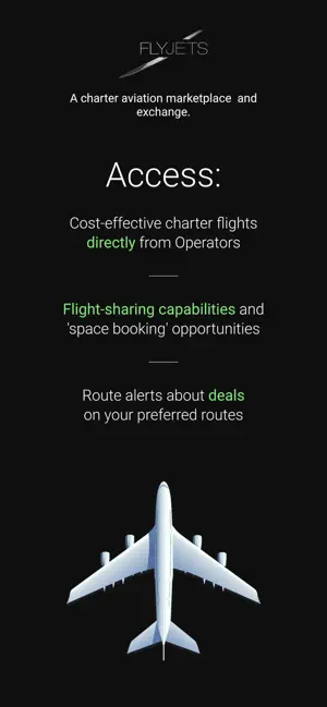 FLYJETS screenshot 1