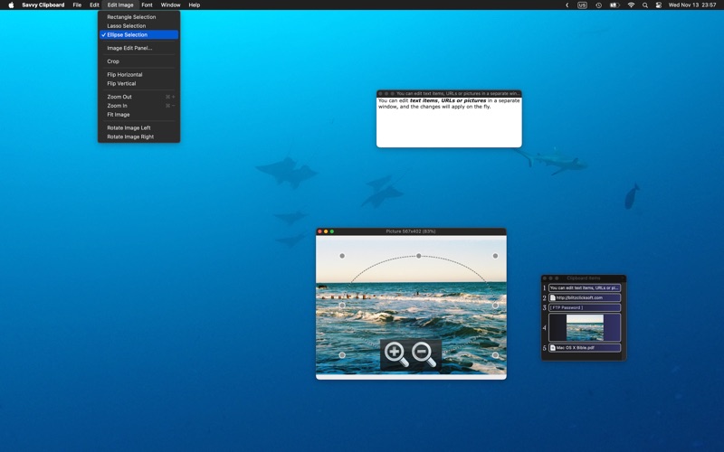 Savvy Clipboard screenshot