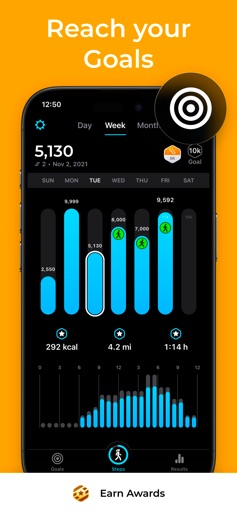 StepsApp Pedometer screenshot 4