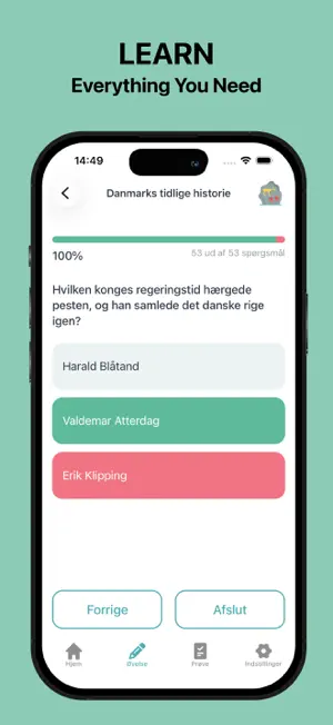 Indfødsretsprøven screenshot 4