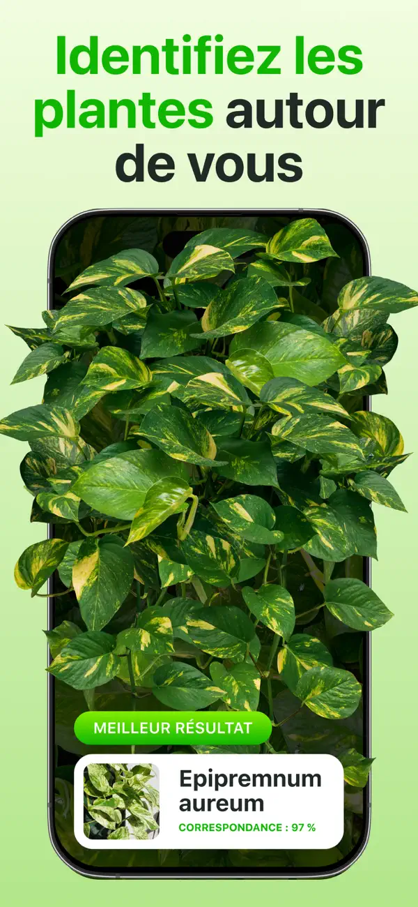 Screenshot #1 pour Plante Reconnaissance: Botan